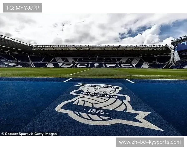 伯明翰市防守坚韧，蓝军力保保级，伯明翰application portal