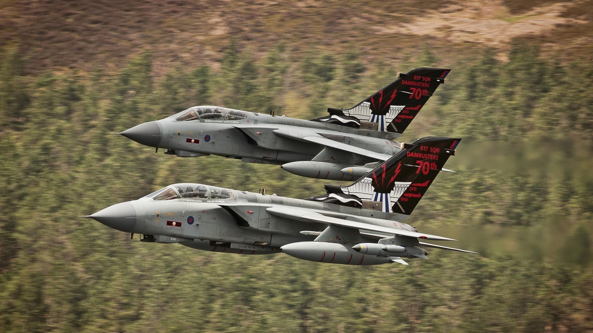 “东部新区缆绳滑水赛事：挑战力与技巧的极致碰撞”