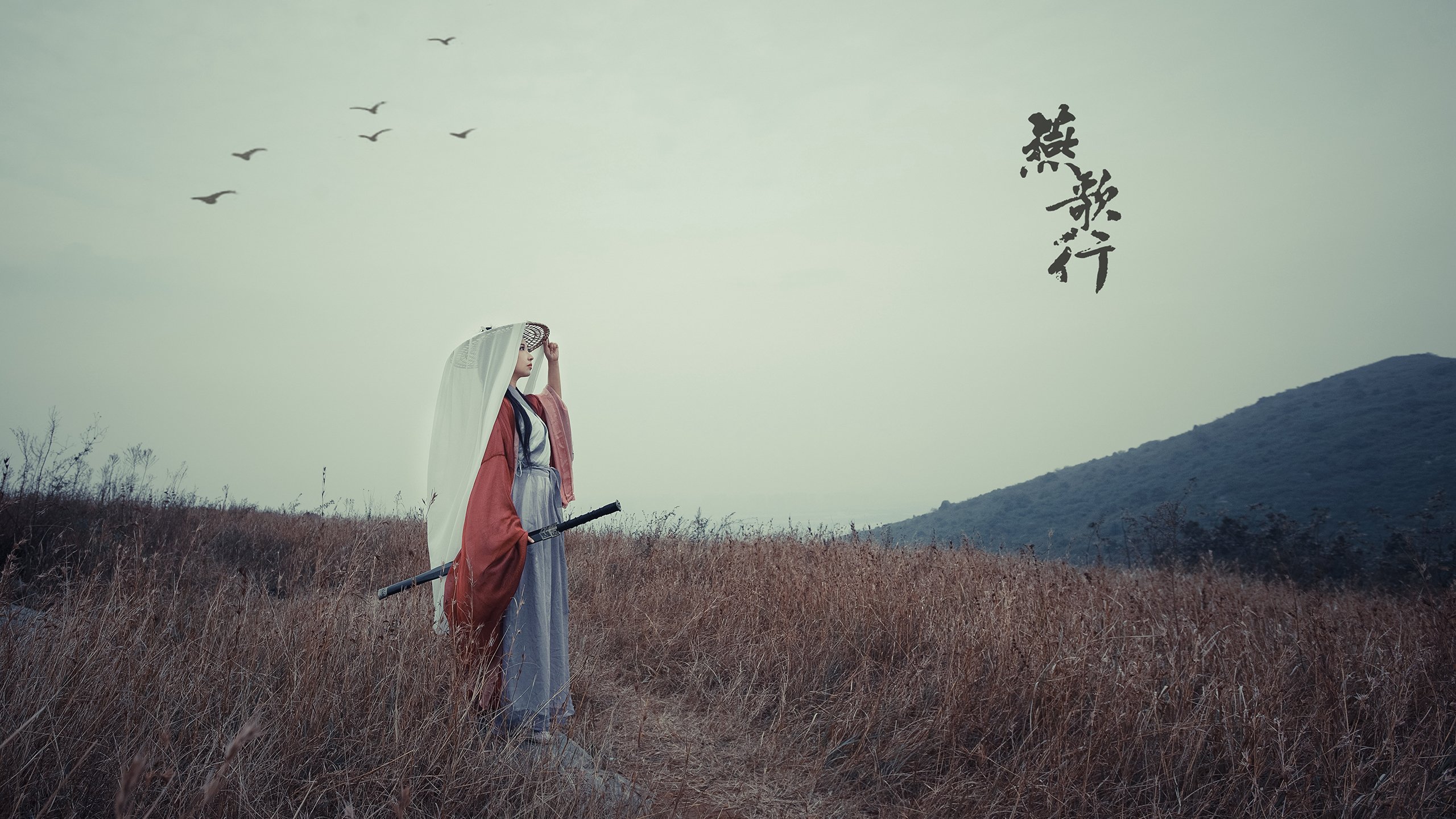 开云·体育官网APP下载-直播系统新增专业术语注释功能便利观众，直播功能介绍