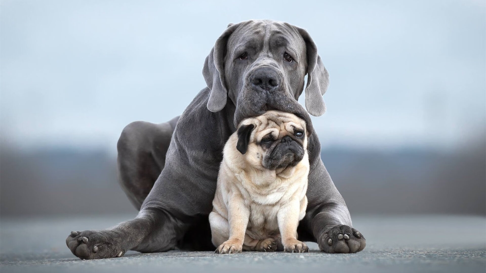 选手训练视频公开展现专业态度引网友尊重,选手培训