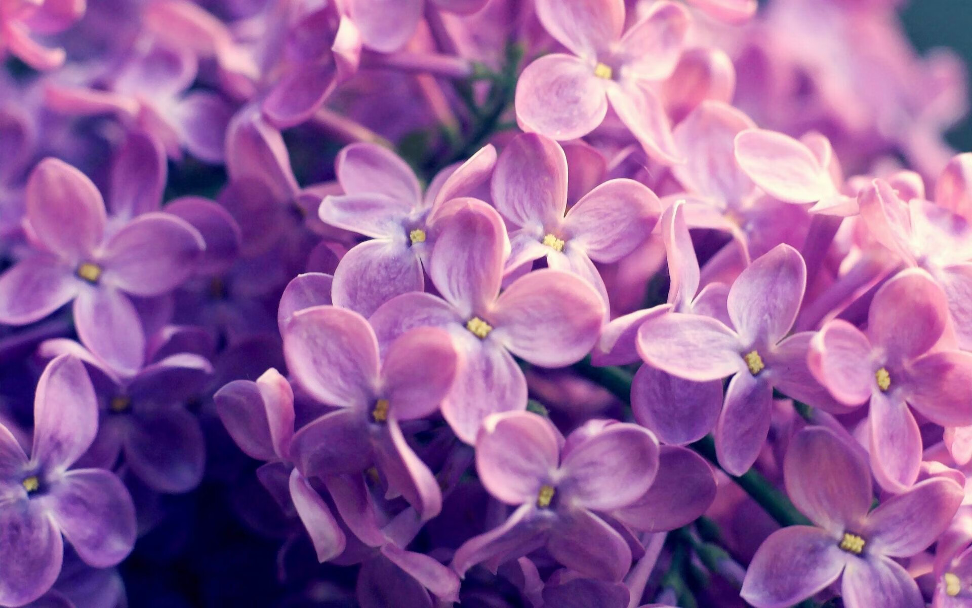 C罗帽子戏法帮助球队大胜晋级欧冠八强，c罗帽子戏法对阵球队