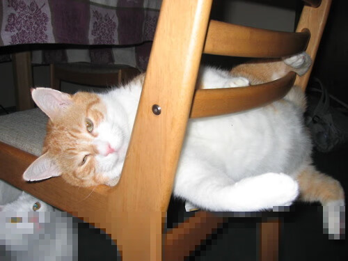 kaiyun开云·官方网站-全国篮球教师培训制度逐步建立提升基层教学质量，教师篮球培训方案